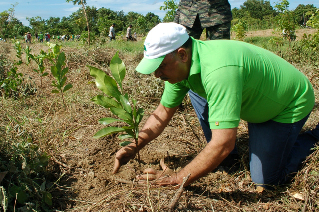 Plantando Rboles Por Un Aire M S Limpio